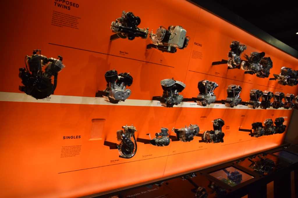 DSC_0070Mittel_.JPG